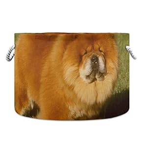 AAJJINA Opvouwbare ronde opbergmand stof speelgoed borst organizer, Chow Chow wasmand met trekkoorden voor kinderen