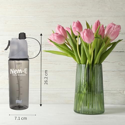BETALTOV Stay Hydrated with 2-in-1 Mist Spray & Unbreakable Plastic –BPA-Free Water Bottle for Sports, Outdoor Cycling, Gym, Running (600ml,Multicolour) (Black) 4 41YMTjeu9tL