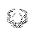 Material: Chirurgenstahl Tapsi´s Coolbodyart® Brustpiercing Fake Edelstahl Chirurgenstahl 316L Schild Ring Doppel Schlange