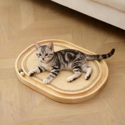 �T�C�U���L���b�g�X�N���b�`���[�g�C(�{�[���g���b�N�t��)�A�ؐ��C���^���N�e�B�u�L�p�L�p��������A�X�N���b�`�p�b�h�A�L�ƒ��L�̂��߂̐g�̉^�� - �y�������_�I�E�g�̓I����(�ȉ~�`)