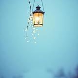  My white breath wavers and disappears into the lamp