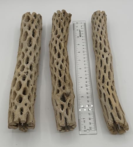 Image of Awesome Aquatic XL Cholla Wood Tubes, Teddy Cane, 12 inch x up to 2 inch | XL Hideouts • Hollow tubes • Natural biofilm surface • Secure hideouts • Shrimp plecos hermit crabs reptiles • Natural decor