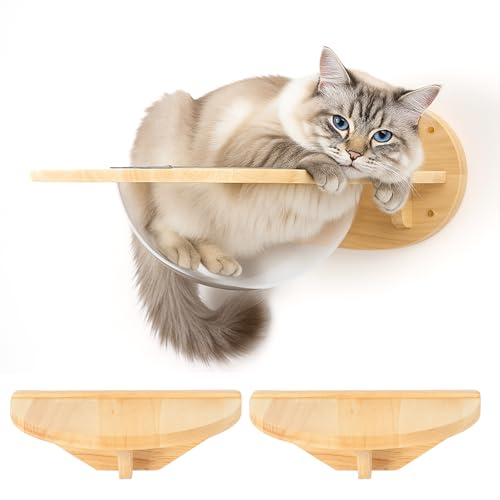 Cat Wall Climbing set Kletterwand Katzen katzenhöhle wand Katzenwandmöbel Set, aus Massives Gummiholz, Hochwertiges Katzenbett zum Schlafen,...