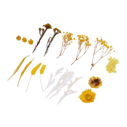 Paquete de ramos de flores secas para manualidades miniatura 6
