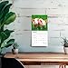 Piglets | 2026 7 x 14 Inch (Hanging) Monthly Mini Wall Calendar | BrownTrout | Domestic Pet Baby Farm Animals