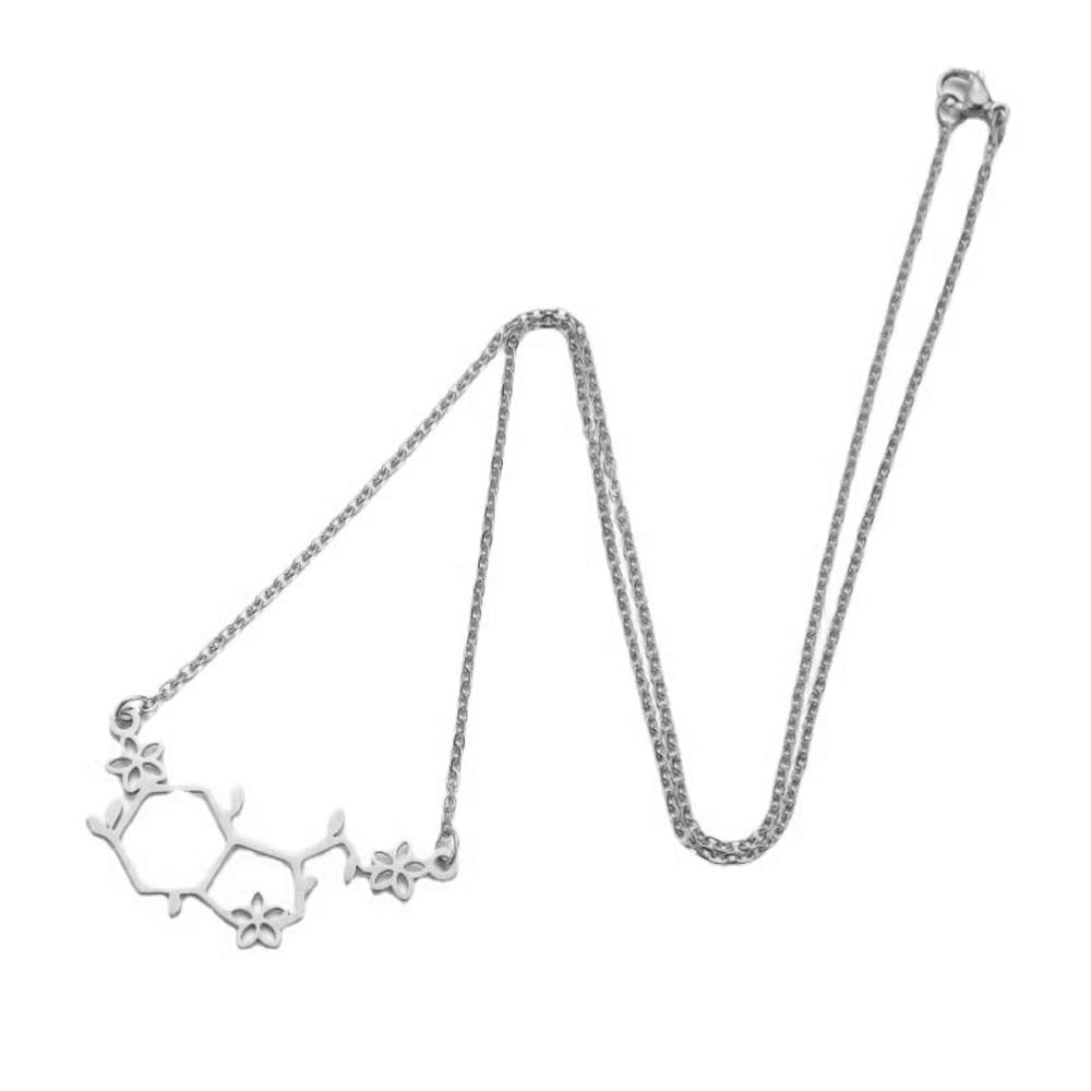 HANMOZTION Stainless Steel Gold and Silver Plating Serotonin Molecule Pendant Necklace