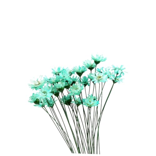 Flores naturales preservadas Zerodeko Margarita 30 unidades miniatura 1