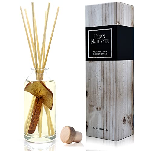 Urban Naturals Apples & Spice Apple Cinnamon Reed Diffuser Oil Set – Red Apple, Cinnamon, Nutmeg Clove & Vanilla Scented Diffusing Reed Sticks – Great Fall & Holiday Scent – Made in The USA