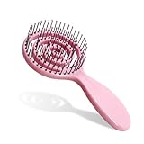 RAIN’S SECRET Lollipop Shaped Mini Detangling Hair Brush for Women,Men,Kid, Wet/Dry Hair,Pocket Detangler for Outing or Traveling (pink)