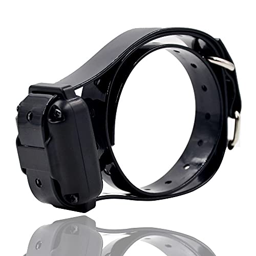 Télécommande et collier bleu avec écran LCD