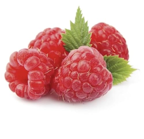 on and on 9-E5 health drink 30 sachets (Pack Of 1)