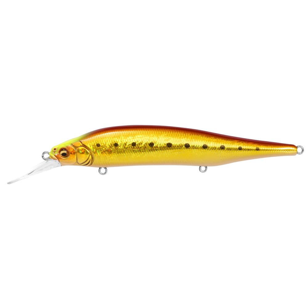 Amazon.co.jp: メガバス(Megabass) X-80 MAGNUM+1 GG アカキンイワシCH