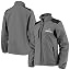 Minnesota Vikings, Gray