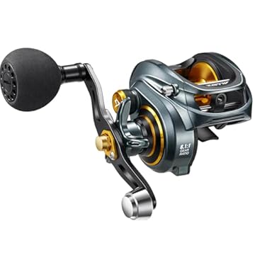 baitcast reel for saltwater