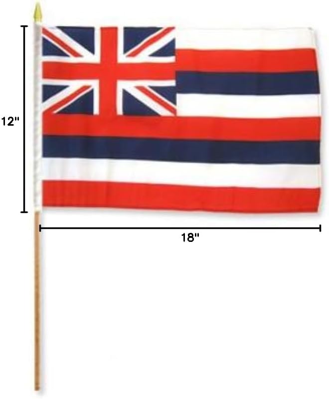 One Dozen Hawaii 12x18in Stick Flags.
