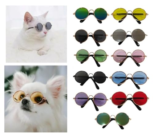 Kit 3 Óculos Sol Pet Gatos Cachorros Cães Pequeno Porte Revenda Cores Sortidas