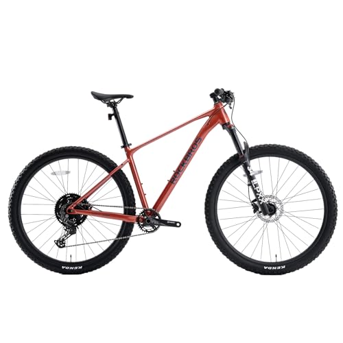ROCKBROS MT600 29