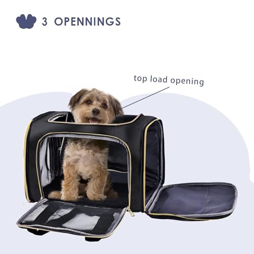 Image of KIKA Pets Goldfinch Cat Bag Carrier | Small Dog Puppy Bag Carrier | Airline Dimension Approved Akasa - Medium Size (18 x 9.8 x 9.9 inches), Midnight Black