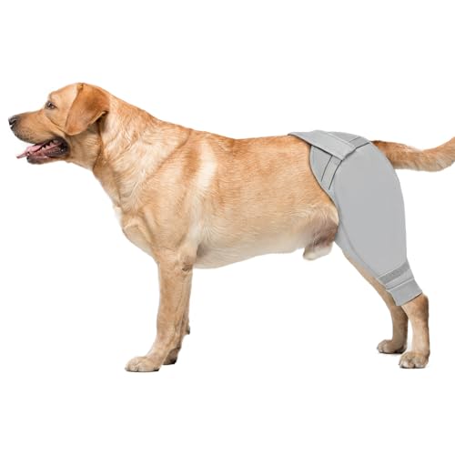 Image of Dog Rear Leg Sleeve to Stop Licking, Hind Leg Protector After TPLO Recovery, ACL Surgery, Wounds or Skin Issues, Soft Breathable Comfortable Cover for Large Medium Small Dogs, S,Right, Light Grey