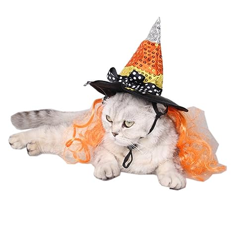 Mipcase 2 Peças Chapéu De Gato De Halloween Chapéu De Bruxa De Halloween Chapéu De Bruxas De Gato Bi