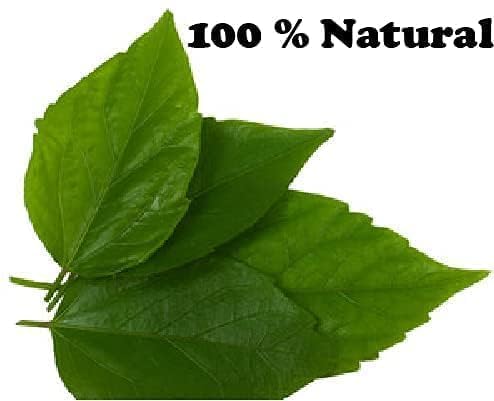 Miniatura 4 de NS Hibiscus leaf powder for hair care-100G