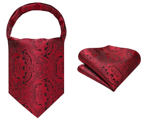 Image of HISDERN Ascot Ties for Men Paisley Floral Ascot and Pocket Square Set Classic Self Tie Mens Cravat Handkerchief for Wedding