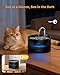 Katzenbrunnen Trinkbrunnen für Katze: 2L Katzenbrunnen für Katzen - Katzen Trinkbrunnen Super Silent - Eingebautes LED Licht - Aktivkohlefilter - Durchsichtiger Wassertank - Schwarz