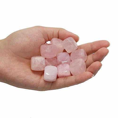 Nvzi XNGA ^u |bV VR[YNH[c NX^ANX^Aq[OXg[ NH[c oN EBbJACLAq[OGlM[A`NXg[Appi (10 )