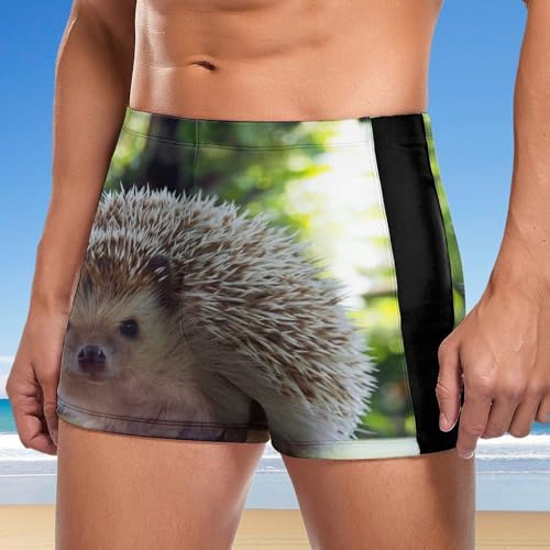 Slip de bain hérisson pour homme le short de natation confortable