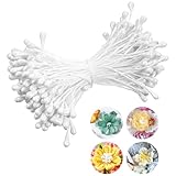 Matwsec 3mm Double Heads Flower Stamen 150PCS Stamens for Flowers Making Flower Stamens for Artificial Flowers Crafts Christmas Card Wedding Scrapbook Decoration