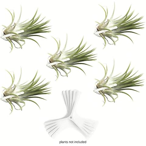 ArtAK Wall Planter Set of 5 Cover