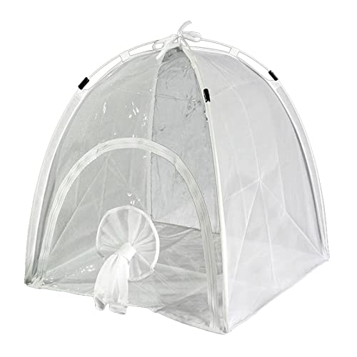 28C` ^EP[W eE w̍bV NA