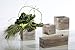 Wood Planter Box Set, Rustic Whitewash, Plastic Liners, 5 Inch Square Flower Holder, Natural Barn Wood Decor, Country Style, Home and Wedding Decorations, Garden Ornaments, (Beige Brown) (Set of 4)
