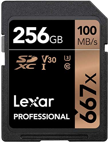 Lexar Professional 667X 256GB SDXC UHS-I/U3 Card (LSD256BNA667) Black