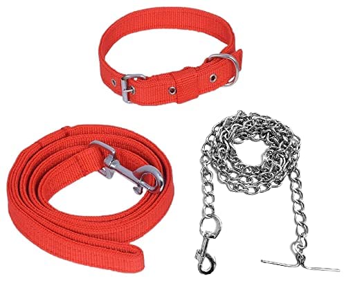 SUPER CHAIN Combo of Collar Leash and Chain Dog Belt with Silver Chain Dog Collar & Chain Medium Size Dog Collar Width 20 MM (Large, Red) (B0BNG68WS4) Amazon Price History, Amazon Price Tracker