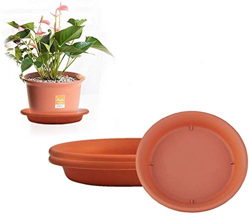 zosenda Lot de 3 soucoupes en plastique pour pot de fleurs - Pour intérieur ou extérieur - Idéal pour contenir les gouttes d'eau et la terre (21 x 3,5 cm) Cover