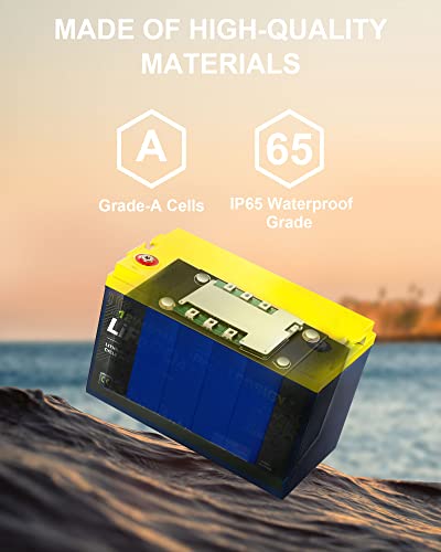 Lossigy 12V 100Ah Lifepo4 Deep Cycle Lithium Iron Battery, 1280Wh Power Supply Built-In 100A Bms, Perfect For Golf Cart, Trolling Motor, Marine, Rv, Solar System #TOP2