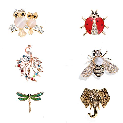 Sauvoo 6Piezas Conjunto Broche Mujer Pin Cristal Vintage