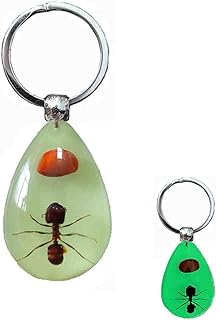 PTGMH Black Scorpion Resin Keychain with Real Insect Sample, Glow in the Dark Keychain Crafts Glow Keychain for Men, Scorpion, Spider, Ant, Crab, Wasp (ormosia+ant)