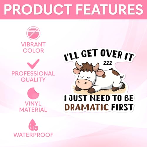Image of Pack 9 Pcs Funny Dramatic Sticker for Laptops Vehicles Trucks Cups Tumblers Helmets Computers Bumper Stickers Waterproof Removable Vinyl Decals Car Exterior Laptop Accessories
