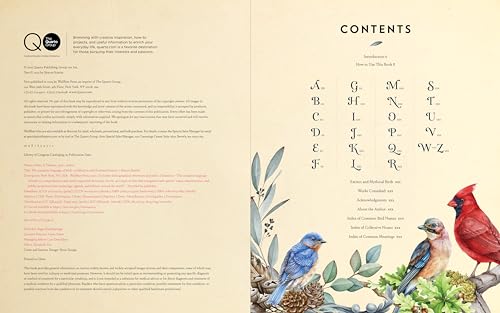Image of The Complete Language of Birds: A Definitive and Illustrated History (Complete Illustrated Encyclopedia, 13)