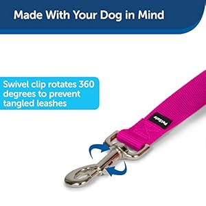 PetSafe Nylon Dog Leash – Strong, Durable, Traditional Style Leash with Easy to Use Bolt Snap – 3/4 in. x 6 ft., Raspberry Pink