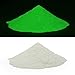 Procart Glow in The Dark Pigment,Phosphorescent Glow Powder,3.52 Ounce (100 g),Water Based (Green) (Green)