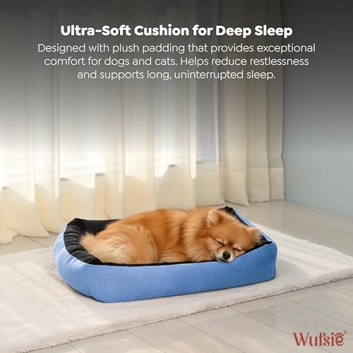 Image of Reversible Rectangle Dog Bed | Small 50 X 65 Cm Pet Bed for Puppies and Cats | Premium Velvet, Washable Fabric | Soft Sofa-Style Bed for Dog with Thick 15 Cm Insert | Black & Sky Blue