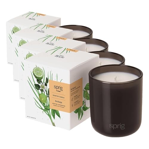Sprig by Kohler Recharge Aromatherapy Candle with Bergamot and Lemongrass, 100% Natural Soy-Coconut Wax, Uplifting and Invigorating Scent, Gift for Holidays, 8 oz (Pack of 4)