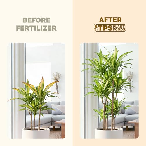 Fertilizante Líquido para Plantas Brazilian Wood 8 oz miniatura 3