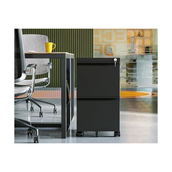 Aodk file cabinet for home office fully assembled filing cabinet 2 drawer rolling file cabinets with lock small mobile file storage cabinets for a4legalletter file black  urban country home decor