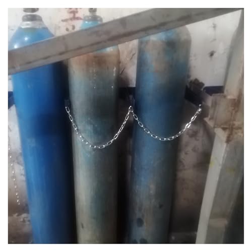 Carro para Cilindros, Estante de Almacenamiento de Gas de Acero, Tanques de pie, Soporte para Botellas de oxígeno para residencias de Ancianos/Laboratorios, Soporte de Pared para Tanques de
