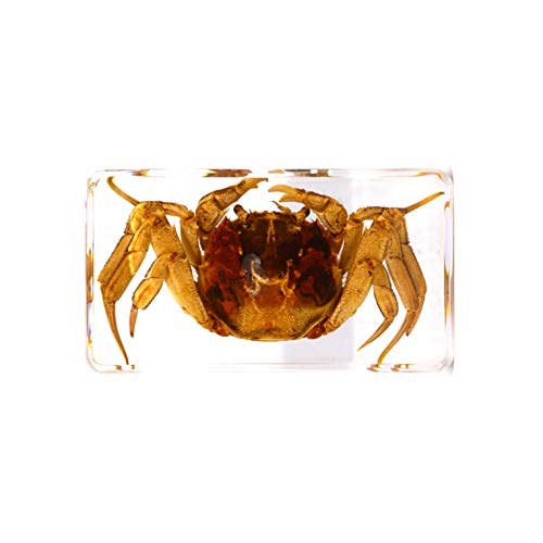 [W{쏊] W{ Jj D^Cv I/{///ώ@////AN/W