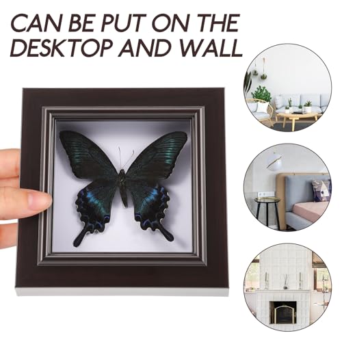 Housoutil Butterfly Specimens in Shadow Box Blue Morpho Butterfly Framed and Mounted in Black Display for Wall Shelf or Table Display by Housoutil - Image 4